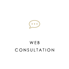 WEB CONSULTATION